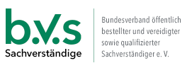 Logo BVS